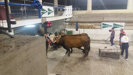 Polideportivo Andra Mari