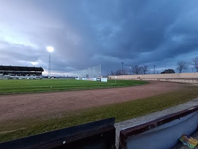 Campo de fútbol municipal La Molineta