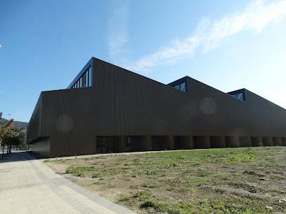 Polideportivo BUZTINTXURI kiroldegia ⚾
