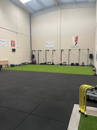 Volpe Entrenamiento Funcional