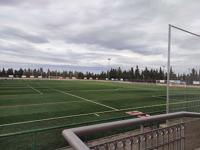 Campo de Fútbol Municipal de Corella.