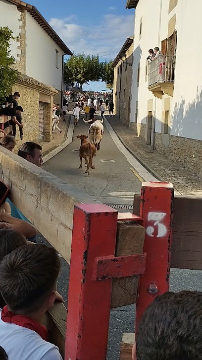 Frontón Público Municipal de Zizur Mayor.