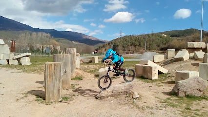 Centre de Tecnificació Esportiva l’Avellaneda