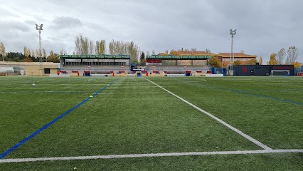 Campo Municipal de Fútbol Alfonso San Casto