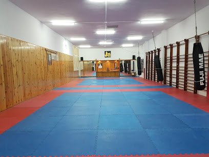 Club Esportiu Satori