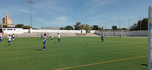 Campo Municipal de Fútbol Andrés Chacón