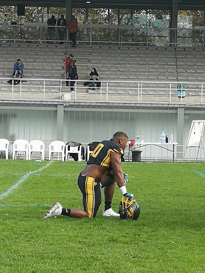 Pinto Goldbats