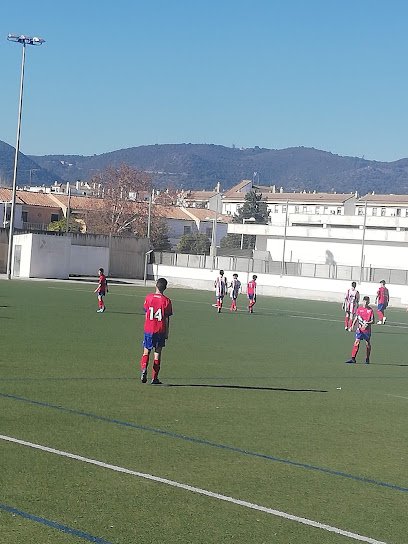 Campo de Fútbol Miralbaida