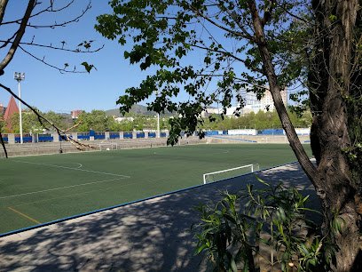 Campo de fútbol de Porta