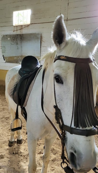Centro deportivo ecuestre «El Laminillo»