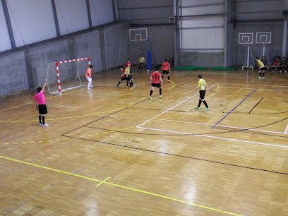 Polideportivo de Llugones/Lugones
