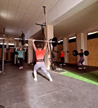 BOX MEDUSA CROSSTRAINING
