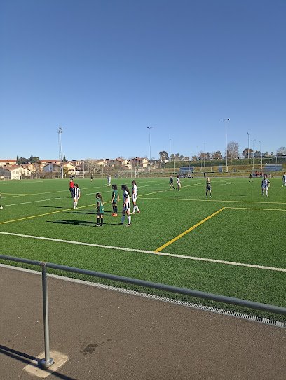 Campo de la Federación