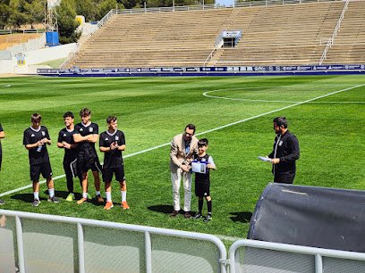Camp de Futbol Guillermo Amor