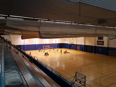 Polideportivo Municipal Vicente López Carril