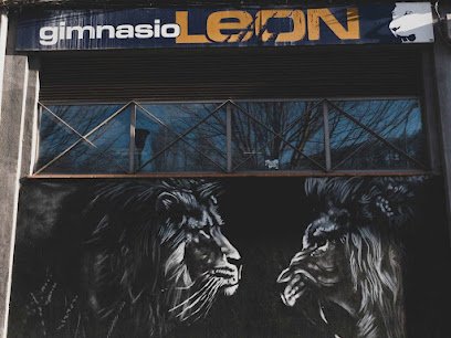 Gimnasio León – Tu Gimnasio en Pamplona