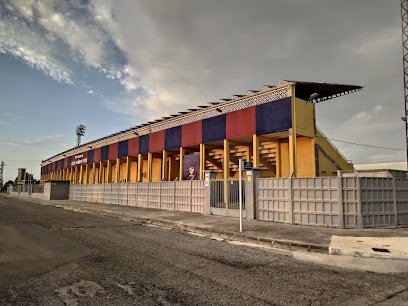 Unión Deportiva Alzira
