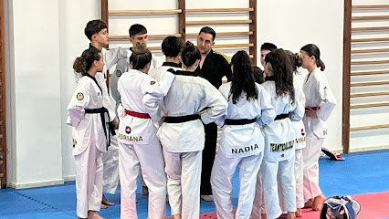 Club TAEKWONDO PINTO Javi Alcalá