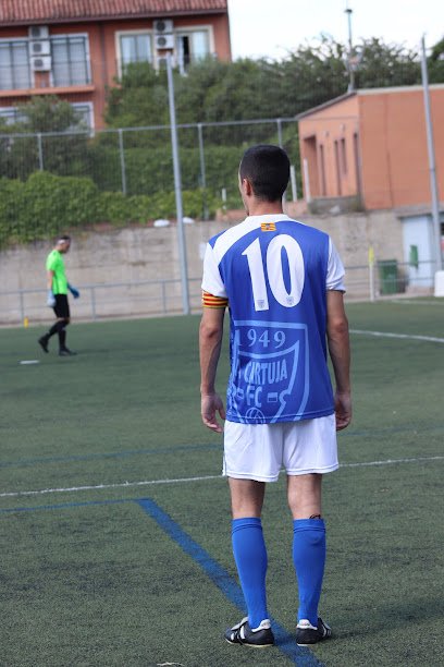Campo de Fútbol Municipal de Cartuja Baja.