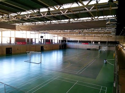 Pabellón de Deportes La Tejerona