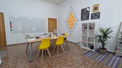 ALMA SPANISH SCHOOL