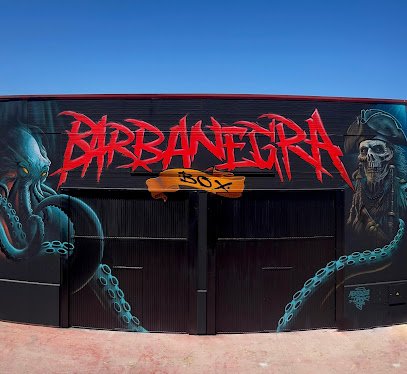 Box Barbanegra