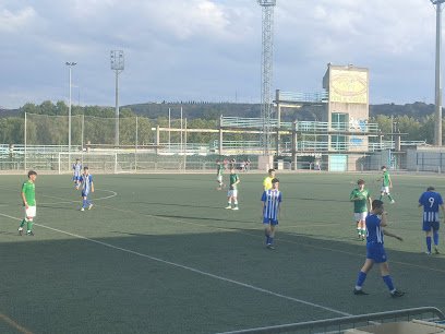 Campo de fútbol Municipal Diego Mateo «Zarra»