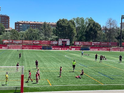 Estadio Municipal el Congost de Manresa