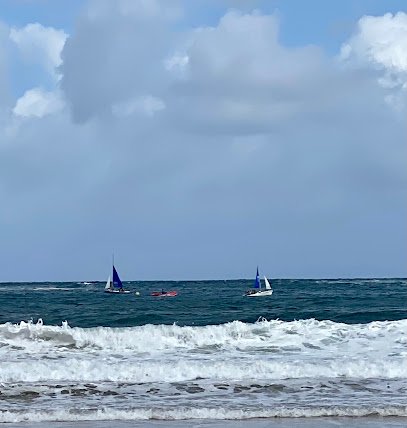Escuela de Vela y Piragüismo – Real Club Náutico de San Sebastián