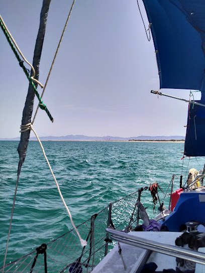EN ACCIÓN POR EL MAR
