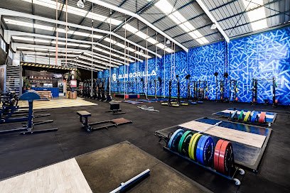 BLUEGORILLA BOX San Fernando