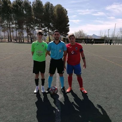 Campo municipal Luiche