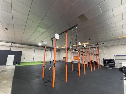 BUDDHA MONKEYS CENTER