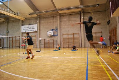 Club Badminton Las Rozas