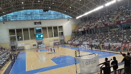Palacio Municipal de Deportes Vista Alegre