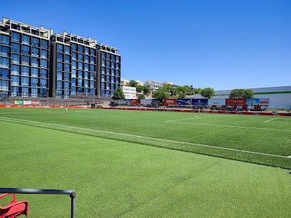 Estadio Matapiñonera