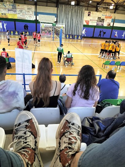 Pabellón Deportivo De Gojar