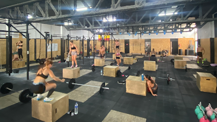 Triboo Elx Crossfit