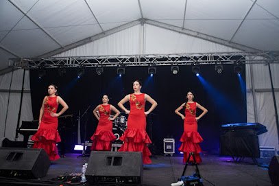 Escuela de baile Flamenco Rosado