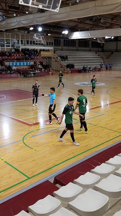 Pabellón Palau-Sacosta