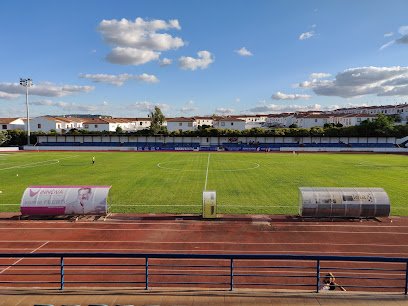 Campo de fútbol, césped natural