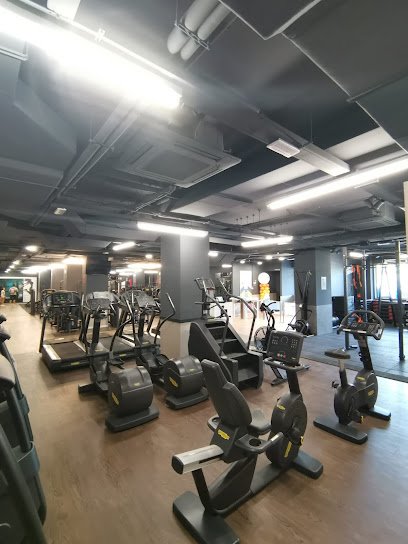 Synergym Vitoria Borinbizkarra