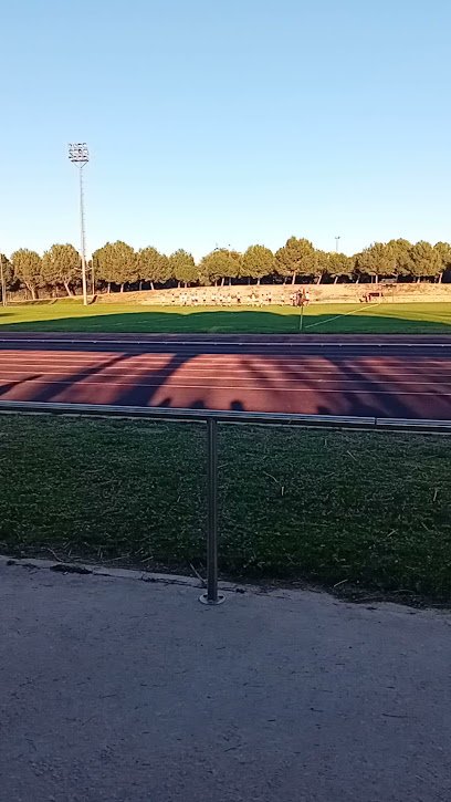 Camp de Rugbi d’Alzira