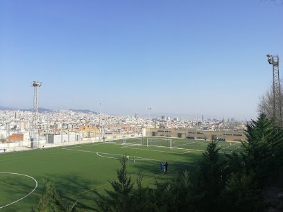 Campo Municipal de Fútbol de la Satalia