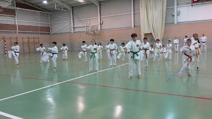 Pabellón Javi García