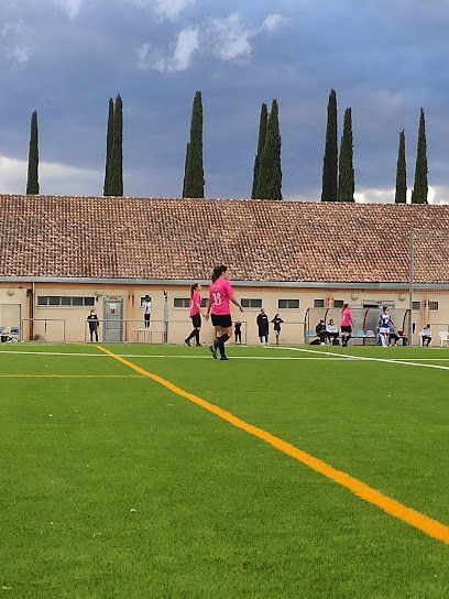 Estadio J. A. Samaranch