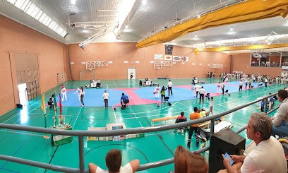 Pabellon De Deportes Gregorio Piedra