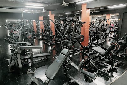 System Sport Contact