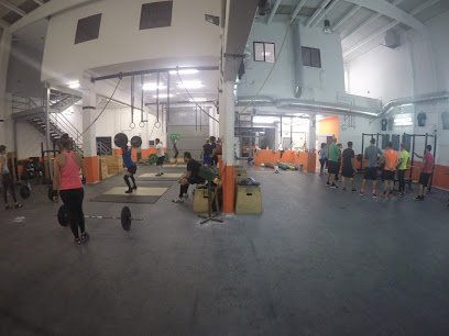 Tracius Weightlifting & Fitness