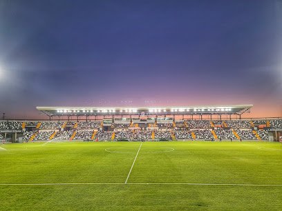Estadio Nuevo Vivero